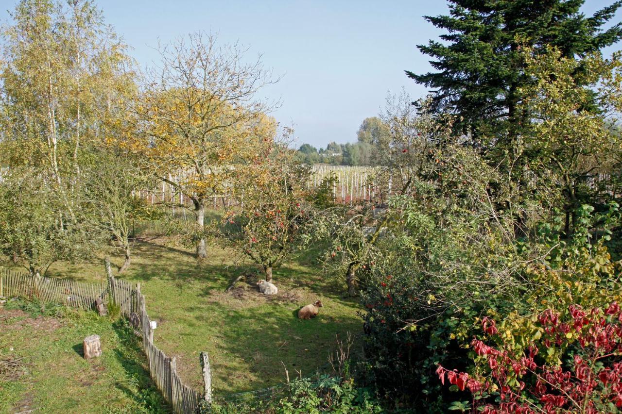 مبيت وإفطار لاير Hof Van Loverrijk المظهر الخارجي الصورة